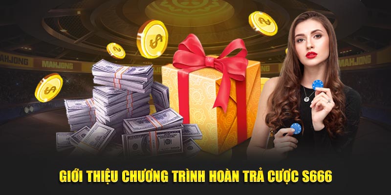 Giới thiệu chương trình hoàn trả cược S666